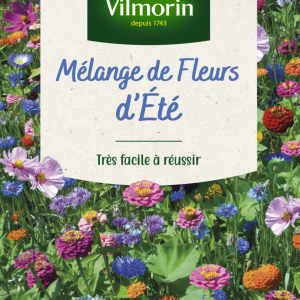 FLEURS D ETE MIX