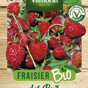 FRAISIER BIO