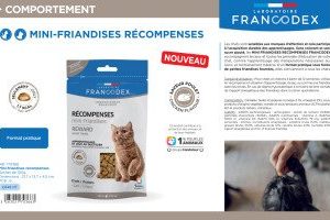 FRIANDISE RECOMPENSE CHAT 100G