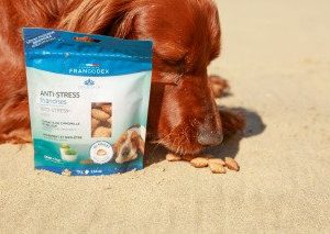 FRIANDISES ANTI-STRESS CHIEN 75G