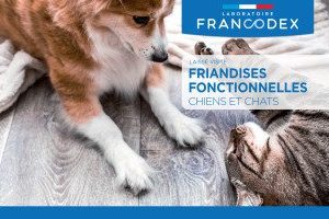FRIANDISES CHIEN BEAUTE POILS
