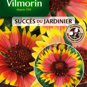 GAILLARDE PRIMAVERA