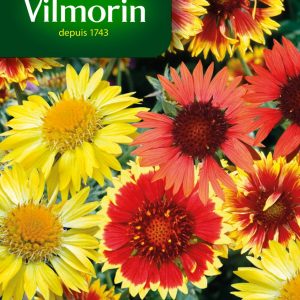 GAILLARDE VIVACE MIX