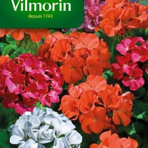 GERANIUM CRICKET MIX