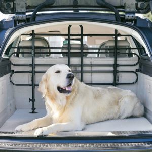 GRILLE DE SECURITE AUTO ARRIERE