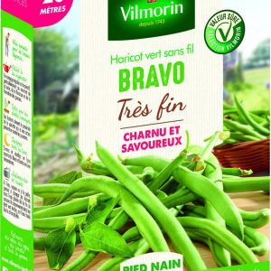HARICOT BRAVO