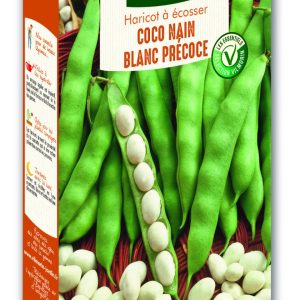 HARICOT COCO BLC PRECOCE
