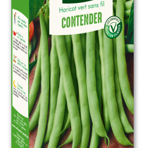 HARICOT CONTENDER