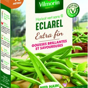 HARICOT ECLAREL