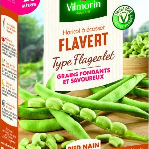 HARICOT FLAVERT