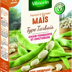 HARICOT MAÏS