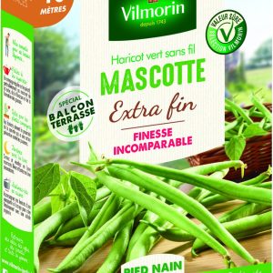 HARICOT MASCOTTE