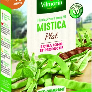 HARICOT MISTICA
