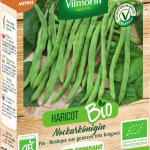 HARICOT NECKARKONIG BIO 10M VL