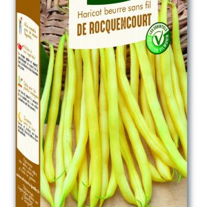 HARICOT ROCQUENCOURT