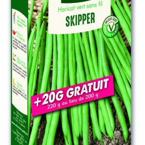 HARICOT SKIPPER 20G GRATUITS