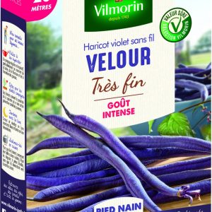 HARICOT VELOUR