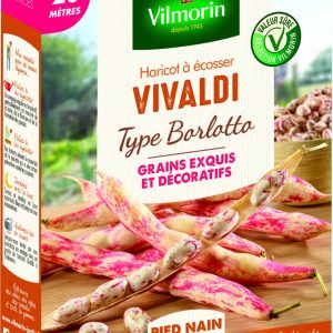 HARICOT VIVALDI