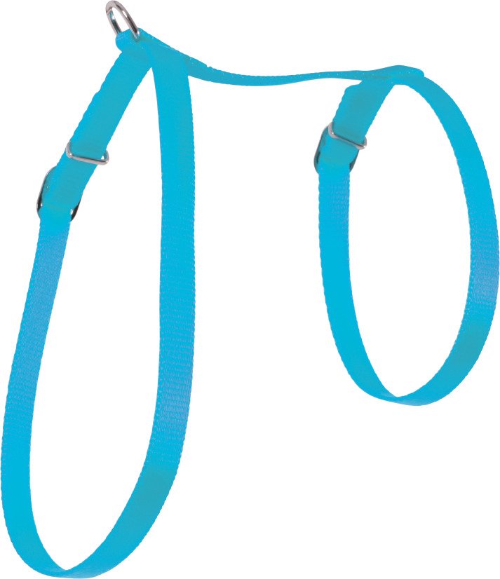 HARNAIS NYLON CHAT