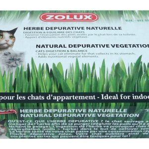 HERBE A CHAT DEPURATIVE