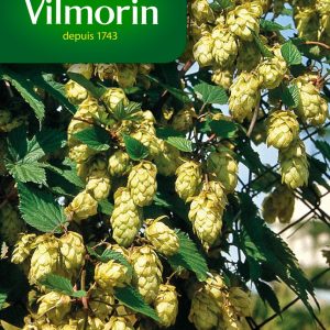 HOUBLON DU JAPON