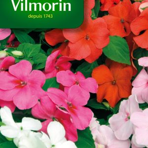 IMPATIENS HYBRIDE MIX