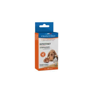 INTESTINET