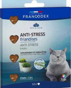 JELLIES ANTI-STRESS CHAT