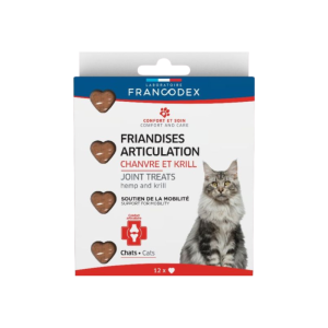 JELLIES ARTICULATION CHAT