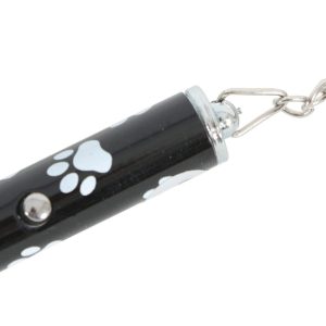JEU CHAT LASER