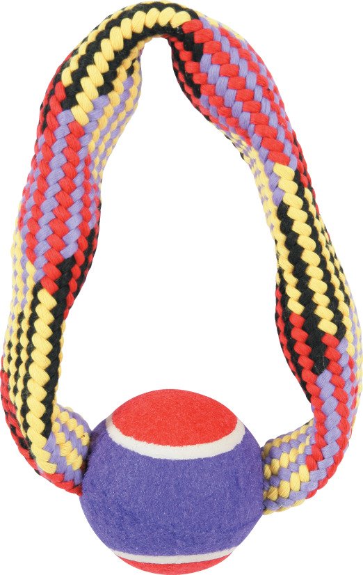JOUET CORDE TENNIS ANNEAU 23CM