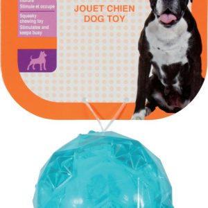 JOUET TPR BALLE POP TURQUOISE