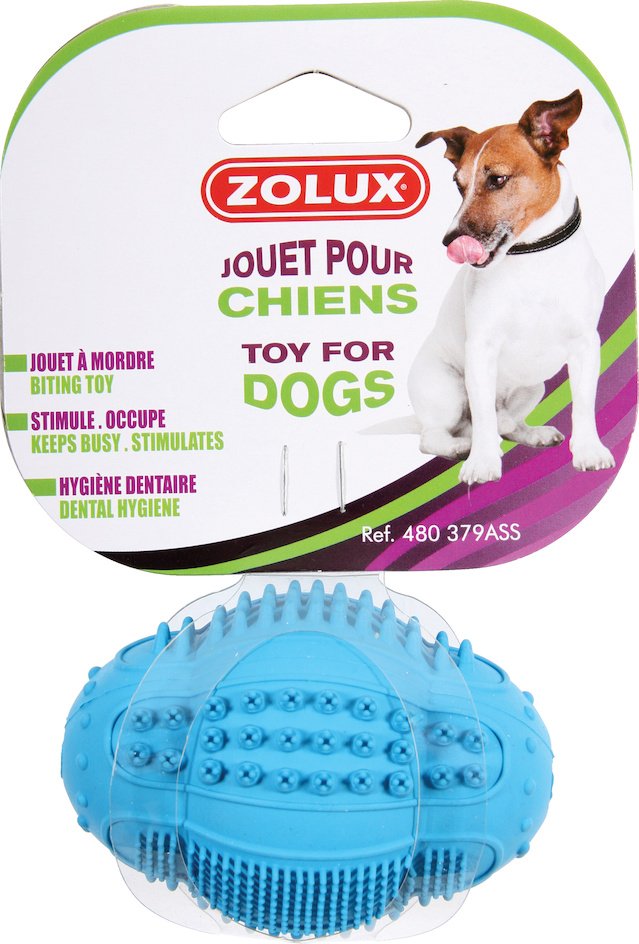 JOUETS DENTAL BALLE 6 CM ASSORTIS