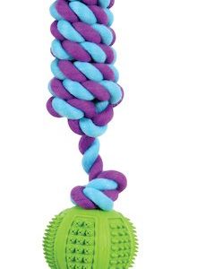 JOUETS DENTAL CORDE HALTERE 11CM ASSORTIS