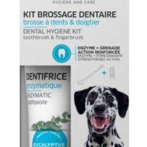 KIT DE BROSSAGE DES DENTS POUR CHIEN