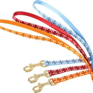 LAISSE NYLON CHAT COLORFUL 1M
