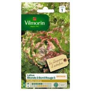 LAITUE BLOND BORD ROUGE 5