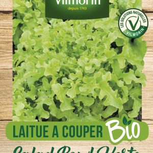 LAITUE BOWL VERTE BIO
