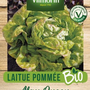 LAITUE MAY QUEEN BIO
