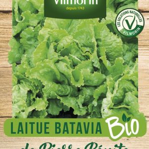 LAITUE PIERRE BENITE BIO