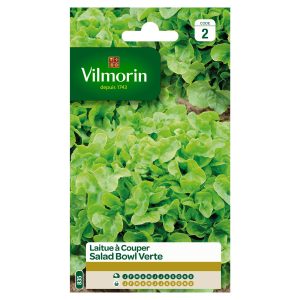 LAITUE SALAD BOWL VERTE