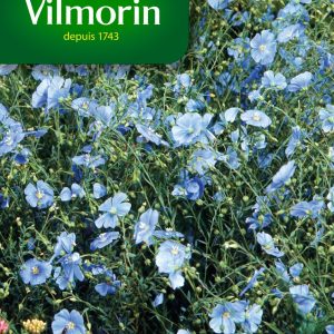 LIN VIVACE BLEU