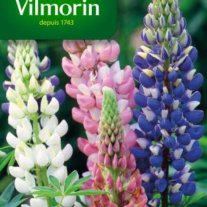 LUPIN ANNUEL MIX