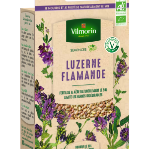 LUZERNE FLAMANDE BIO