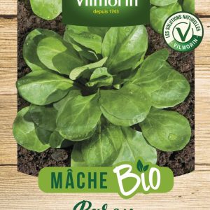 MACHE BARON BIO
