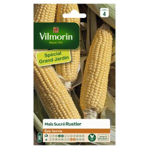 MAIS SUCRE RUSTLER HF1 GM