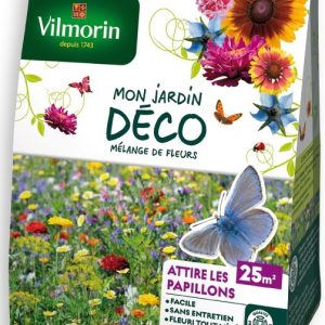MELANGE COIN PAPILLON