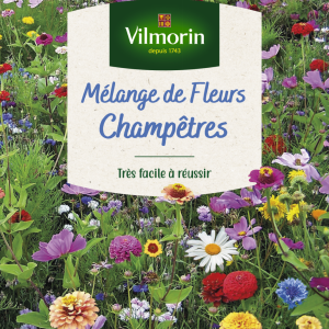 MELANGE FLEURS CHAMPETRE GM
