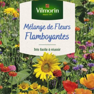 MELANGE FLEURS FLAMBOYANT  GM