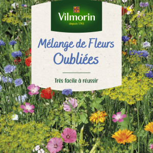 MELANGE FLEURS OUBLIEES GM